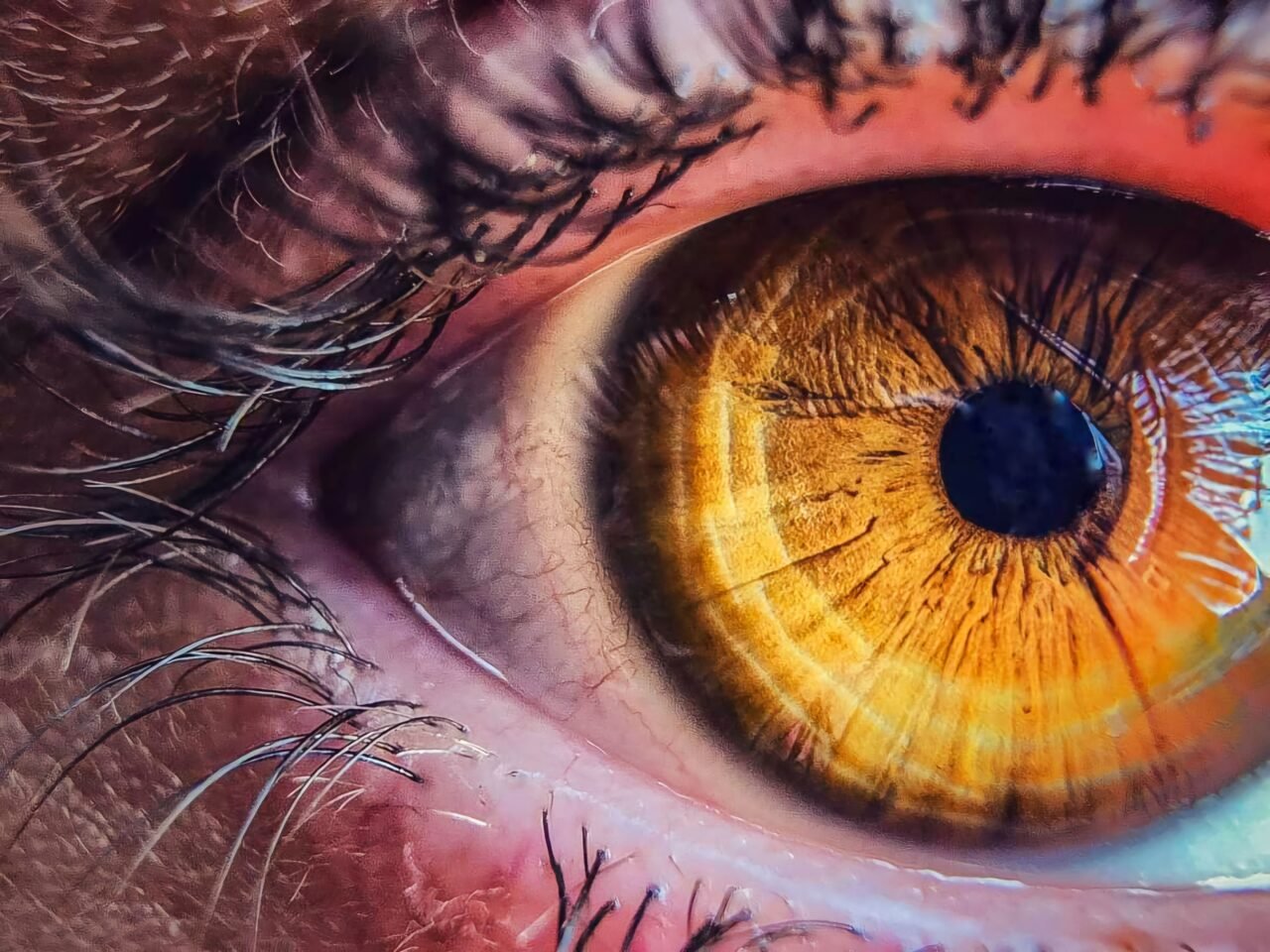 close-up of eye with long lashes