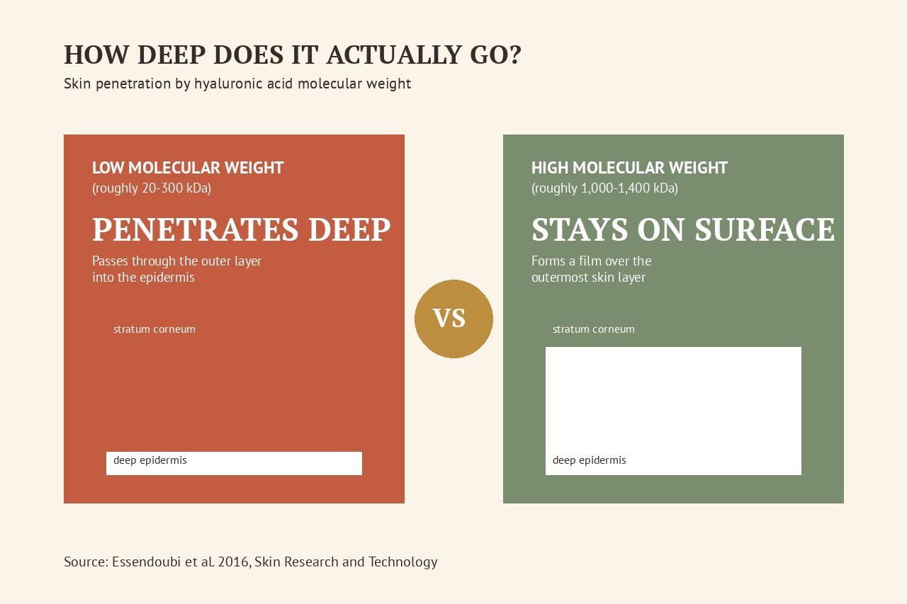comparison graphic of low molecular weight versus high molecular weight hyaluronic acid penetration