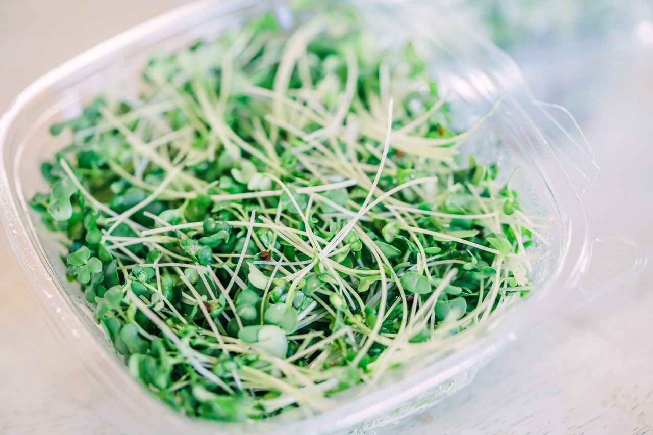 Fresh sprouts in a clear plastic container