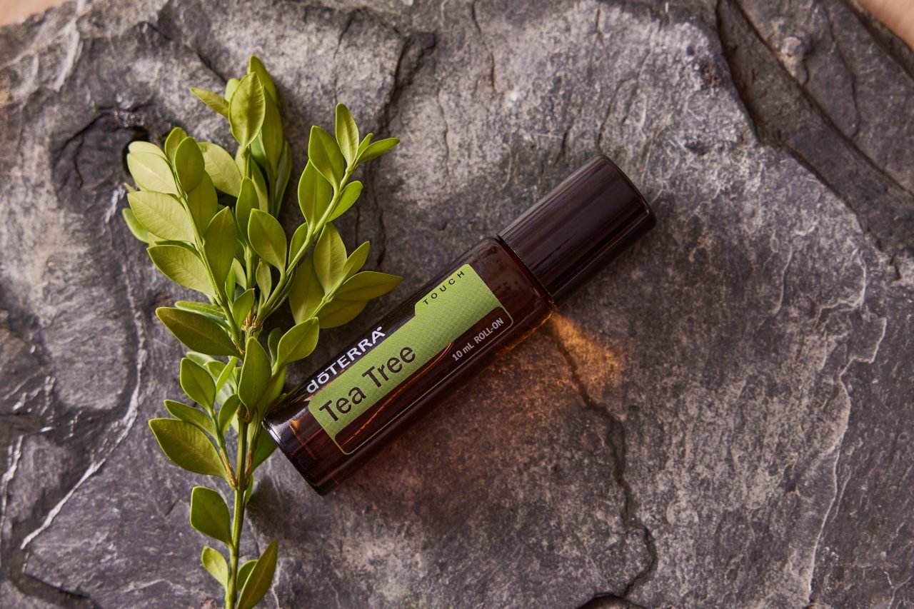 tea tree leaves and essential oil