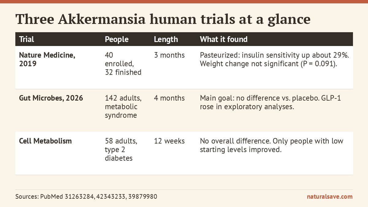three Akkermansia human trials compared at a glance